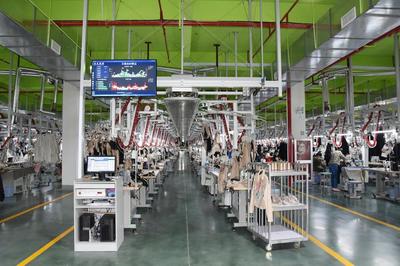 新動(dòng)能澎湃新活力！桐鄉(xiāng)今年引進(jìn)數(shù)字經(jīng)濟(jì)項(xiàng)目253個(gè)，網(wǎng)絡(luò)技術(shù)服務(wù)引領(lǐng)轉(zhuǎn)型